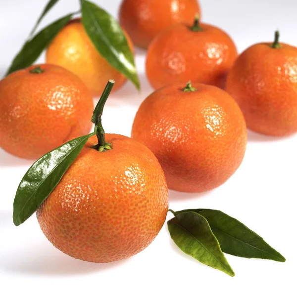 Clementine Citrus Reticulata Fruit White Background — Stock Photo, Image
