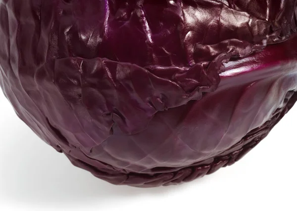 Kırmızı Lahana Brassica Oleracea Sebze Beyaz Arkaplan Karşı — Stok fotoğraf