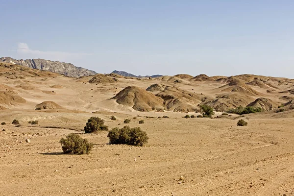 Desert Neart Walvis Bay Nambie — Photo