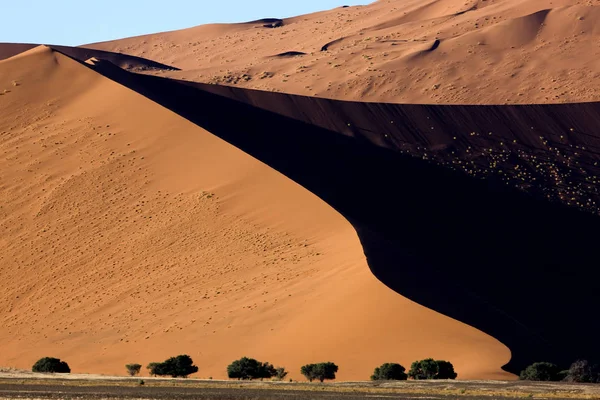 Namib Naukluft Parkı 'ndaki kum tepeleri Namib Çölü' ndeki Sossusvlei Kumulları, Namibya  