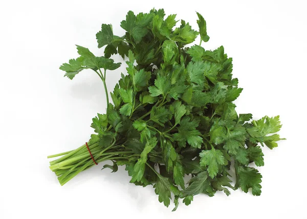 Flat Leaved Parsley Petroselinum Crispum Aromatic Plant White Background — Stock Photo, Image