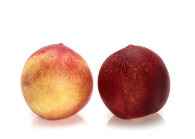 Şeftali, persica vulgaris karşı Beyaz Arkaplan  