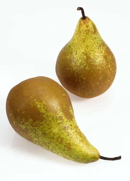 Conference Pear Pyrus Communis Fruits White Background — Stockfoto