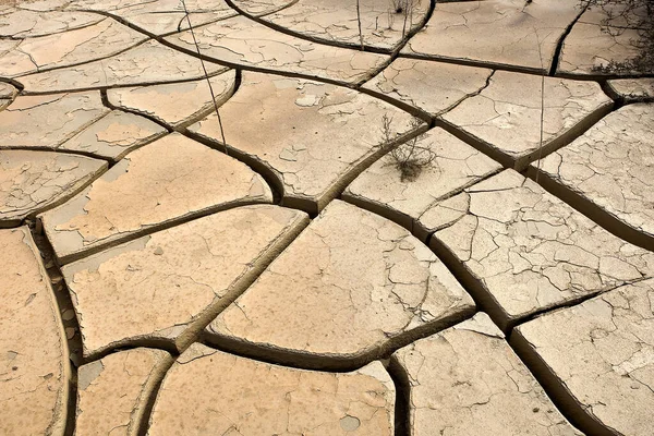 ナミビアのウォルビス湾近くの砂漠で干ばつ — ストック写真