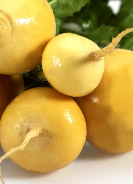 Rzepa Golden Ball Rapa Kapustna Warzywa Białym Tle — Zdjęcie stockowe