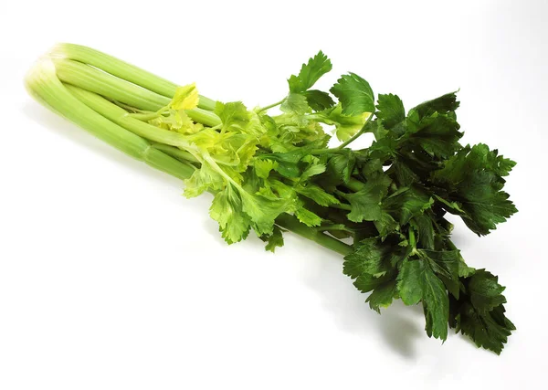 Celery Apium Graveolens Dulce Vegetable White Background — Stock Photo, Image