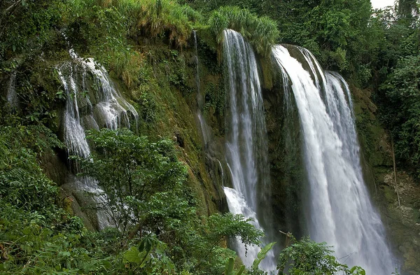 Vízesések Honduras Természeti Háttér — Stock Fotó