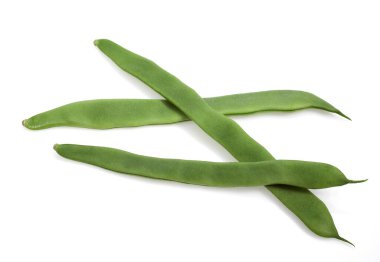 Fransız Fasulyeleri, Coco Plat, phaseolus vulgaris, Fasulyeler, Beyaz Arkaplan 'a Karşı  