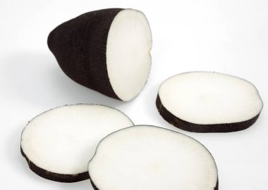 Siyah Turp, Raphanus sativus niger, Beyaz Arkaplan 'a karşı 