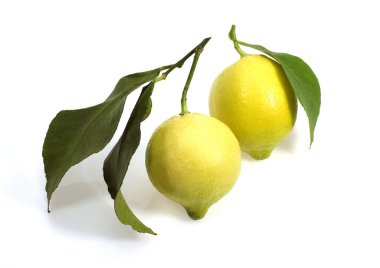 Sarı limon, turunçgil limonum, meyveler beyaz arka plana karşı.  