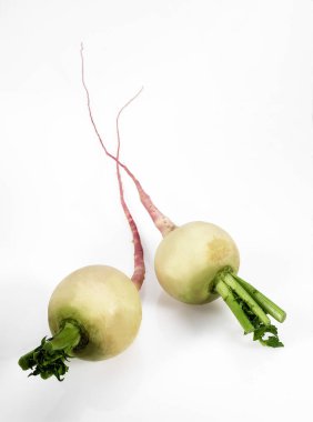 Şalgam, brassica rapa, sebzeler beyaz arka plana karşı 