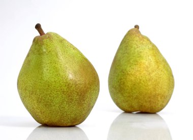 Comice Pear, pyrus comis, Fruits karşı White Background 