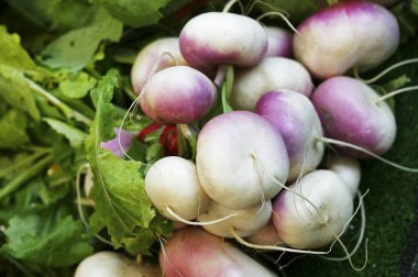 Şalgam, brassica rapa doğal arka plan
