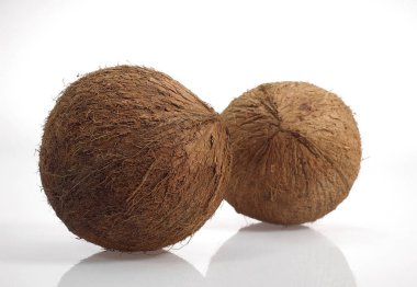 Hindistan cevizi, cocos nucifera, meyveler beyaz arka plana karşı  