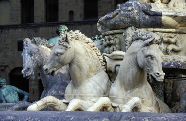 Roma 'daki Trevi Çeşmesinde atlar  