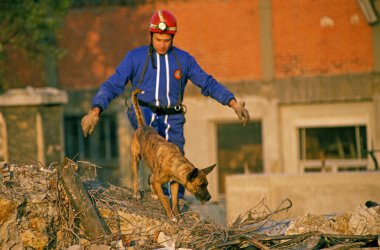 Depremden sonra Kurtarma Köpeğini Eğiten Adam  