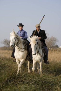 Camargue At, atlı Gardiyan, Wetland 'da yürüyor, Saintes Maries de la Mer, Camargue, Fransa  