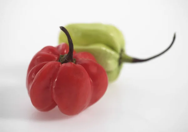 Martinique Hot Pepper Natuurlijke Achtergrond — Stockfoto