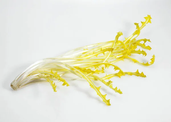Barbe Capucin Cichorium Intybus Salad White Background — 스톡 사진