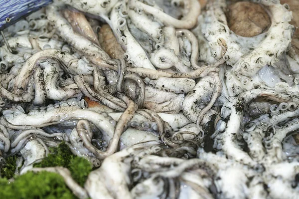 Fresh Squids Coleoidea Fish Stall — Stock Photo, Image