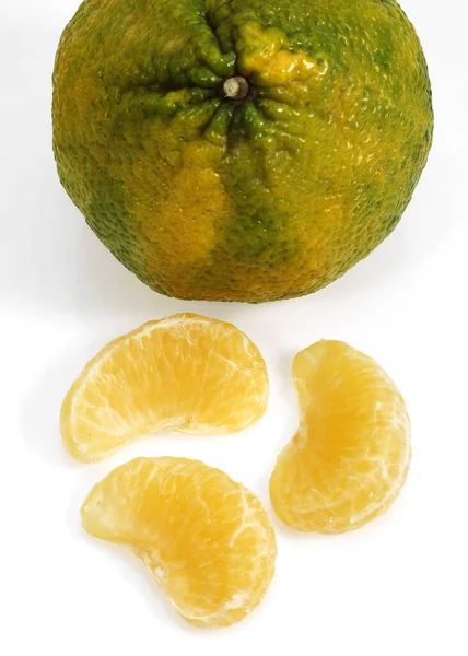 Ugly Grapefruit Citrus Xtangelo Fruits White Background — Stock Photo, Image