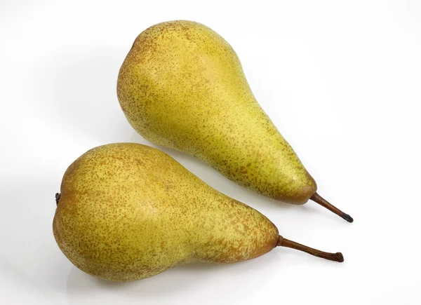 Конференция Pear Pyrus Communis Фрукты Белом Фоне — стоковое фото