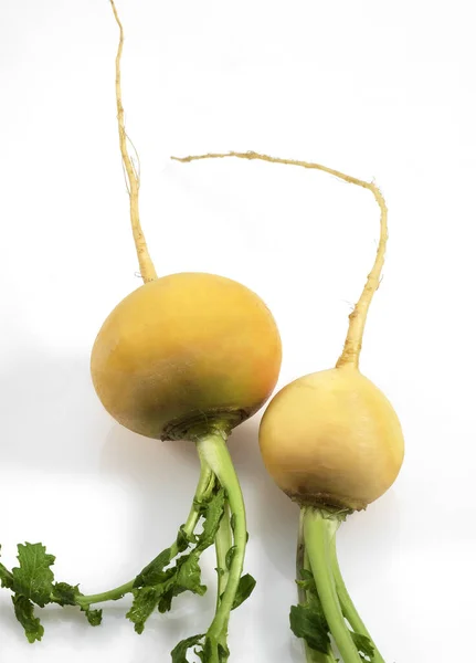 Goldener Ball Rüben Brassica Rapa Gemüse Vor Weißem Hintergrund — Stockfoto