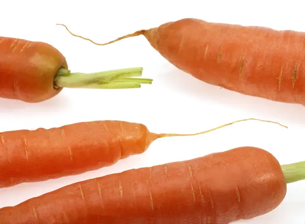 ニンジン ダウカスカロタ 白を背景にした野菜 — ストック写真