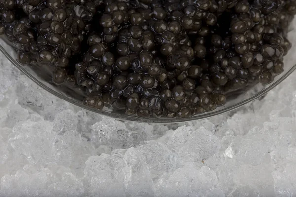 Caviar Huevo Sturgeon —  Fotos de Stock