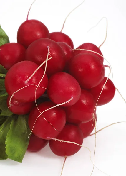 Red Radish Raphanus Sativus White Background — 스톡 사진