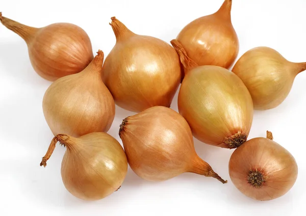 French Onions Called Grelot Allium Cepa White Background — Stock Photo, Image