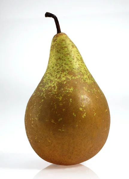 Conference Pear Pyrus Communis Fruit White Background — стокове фото