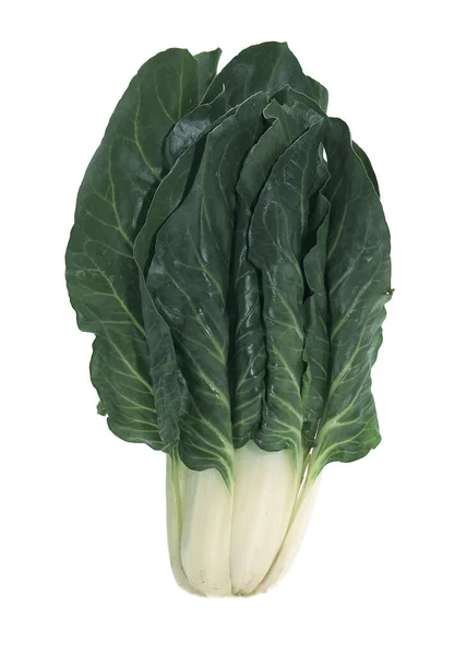 スイスのカード ベータ版のハゲワシ 白を背景にした野菜 — ストック写真