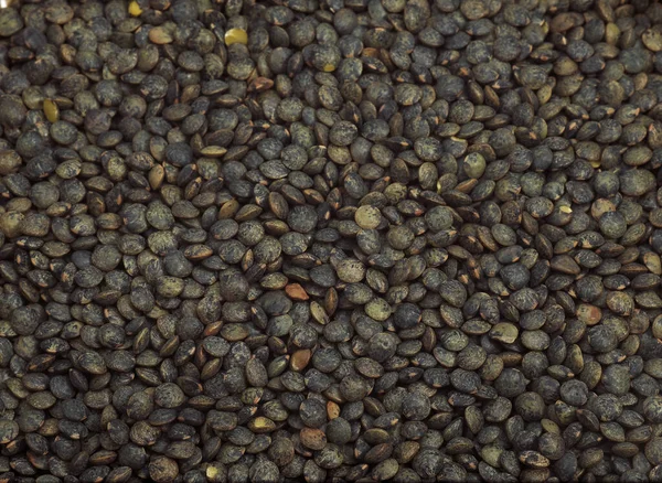 Lentilhas Verdes Francesas Chamadas Puy Lentils — Fotografia de Stock