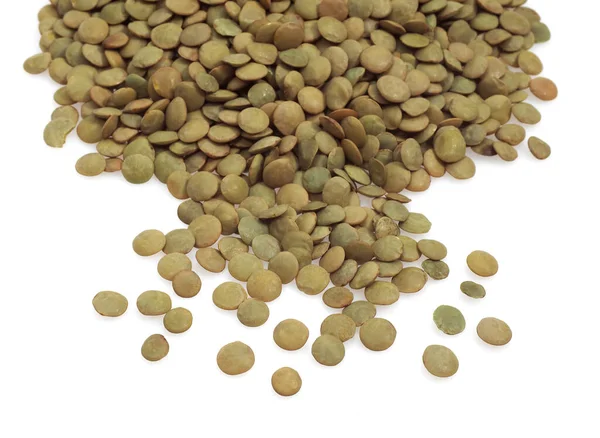 Francuska Soczewica Zwana Saint Flour Lentils — Zdjęcie stockowe