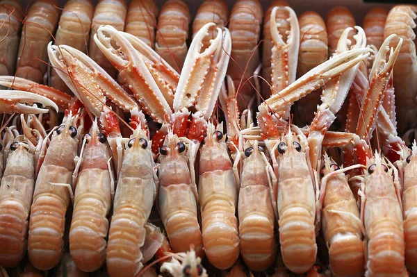 Dublin Bay Garnelen Oder Kaisergranat Oder Scampi Nephrops Norvegicus Fishmonger — Stockfoto