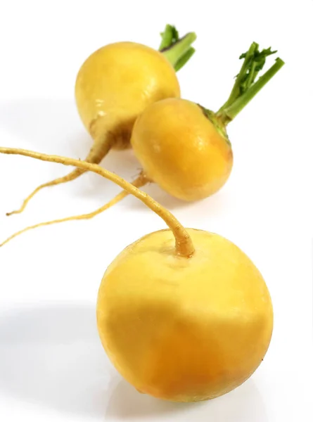 Gouden Bal Rapen Brassica Rapa Groenten Tegen Witte Achtergrond — Stockfoto