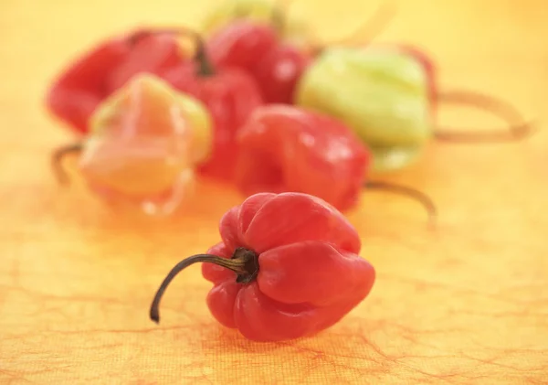 Martinique Hot Pepper Natuurlijke Achtergrond — Stockfoto