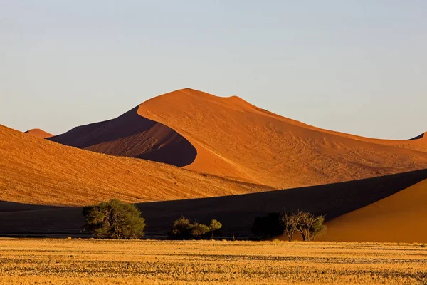 Namib Naukluft Park Sossusvlei Duinen Namibië — Stockfoto