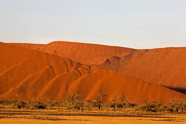 Namib Naukluft Park Sossusvlei Dunes Namibia — Stockfoto