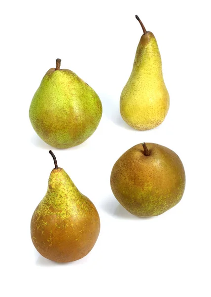 Comice Pear Williams Pear Beurre Hardy Pear Conference Pear Pyrus — Stock Photo, Image