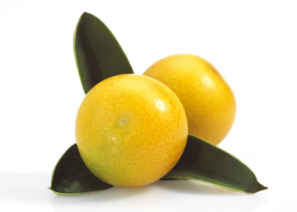 Kumquat Fortunella Margarita Frukt Mot Vit Bakgrund — Stockfoto