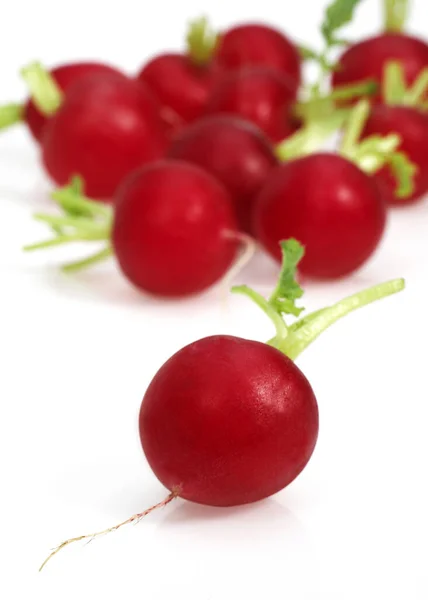 Red Radish Raphanus Sativus White Background — 스톡 사진