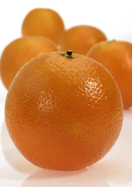 Pomerančová Citrusová Sinensis Ovoce Proti Bílému Pozadí — Stock fotografie