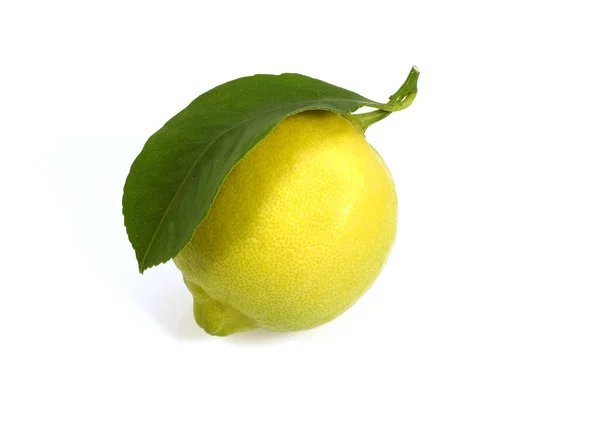 Yellow Lemon Citrus Limonum Fruit White Background — Stock Photo, Image