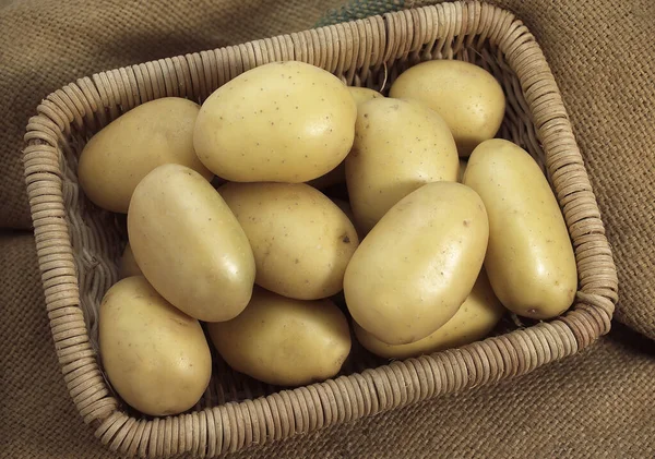 Mona Lisa Potato Solanum Tuberosum Овощи Корзине — стоковое фото