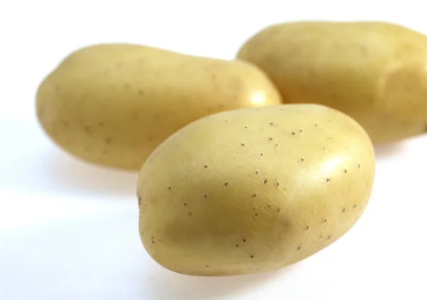 Mona Lisa Kartoffel Solanum Tuberosum Gemüse Vor Weißem Hintergrund — Stockfoto