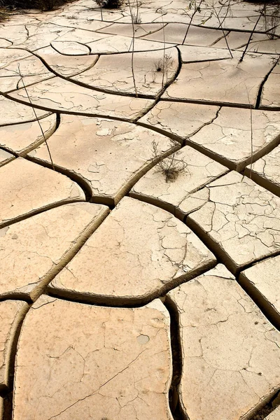 ナミビアのウォルビス湾近くの砂漠で干ばつ — ストック写真