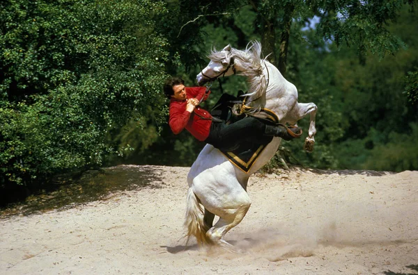 Mario Luraschi Stunt Horse Show — Stock Photo, Image