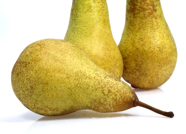 Конференция Pear Pyrus Communis Фрукты Белом Фоне — стоковое фото